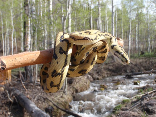 24448_92075_Large_kEnUKc5eGap.jpg