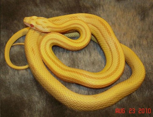 50524_105763_Large_VdjdtgYcZxC1mFT.jpg