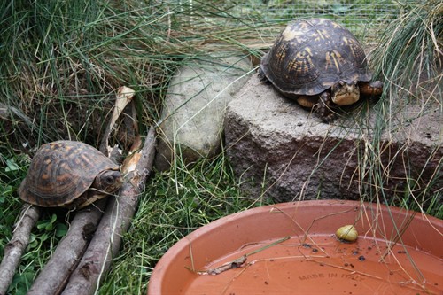 22999_47219_Large_Ygp6ycIoIKThEu.jpg