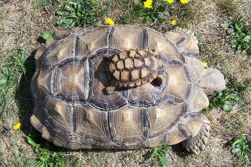 26836_54867_Large_KsrNrBG7va4L7c.jpg