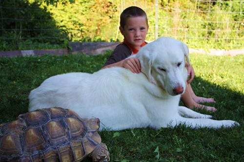 26836_59307_Large_WH3ZG8FUW6l03DR.jpg