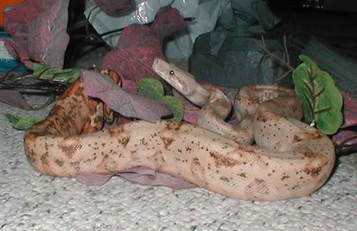 34868_70559_Large_H2BV3DACo7.jpg