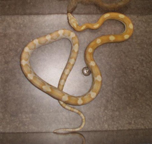 34891_70536_Large_HnOVaUdfaKjhxUM.jpg