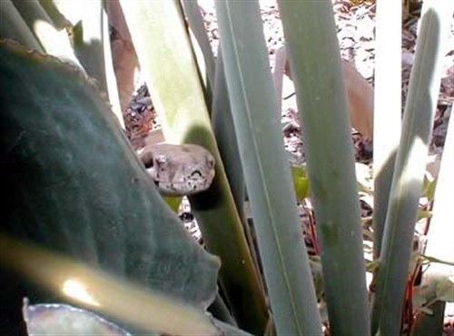 34896_70551_Large_ZeEoRsaTqUz.jpg