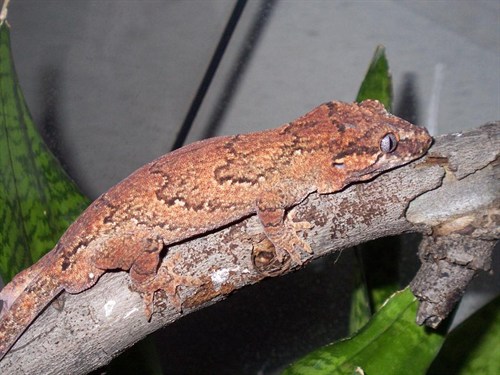 47839_132993_Large_ScCgRbCP2Gwv2ZE.jpg