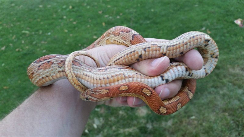 107726_396437_VeryLarge_6TbBYd7suq.jpg