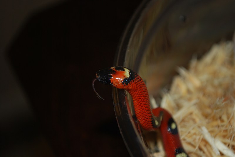 136766_314080_VeryLarge_Ku6HNfHXUQpu8B.jpg